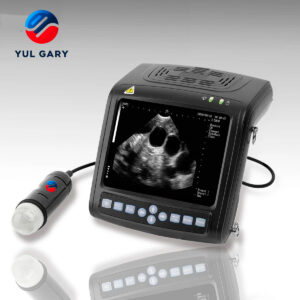 Veterinär-Wrist-Ultraschall YG1152
