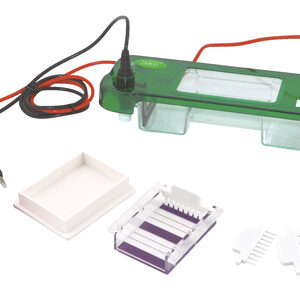 Horizontale Elektrophorese Zelle YG1664