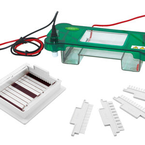 Horizontale Elektrophorese YG1565
