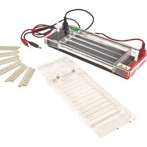 Horizontale Elektrophorese YG1571
