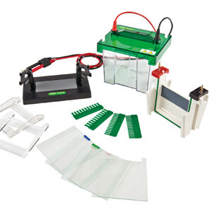 Mini-Protean Vertikale Elektrophorese-Zelle YG1574