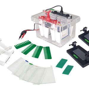 Mini-Protean Vertikale Elektrophorese-Zelle YG1575