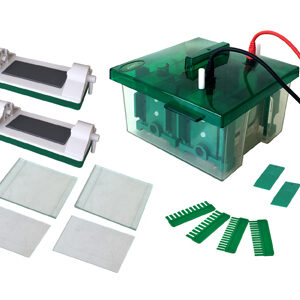 Mini-Protean Vertikale Elektrophorese-Zelle YG1576