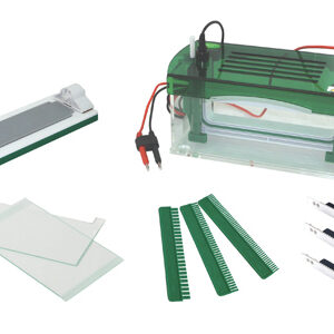 Rapid SSR Vertikale Elektrophorese YG1579