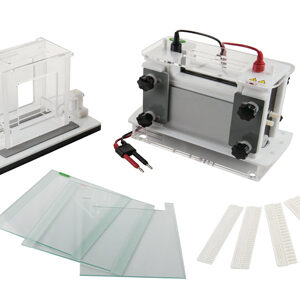 Vertikaler Elektrophorese-Tank YG1581