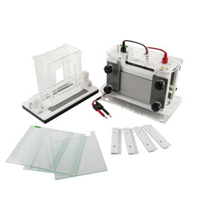 Vertikaler Elektrophoresetank YG1582